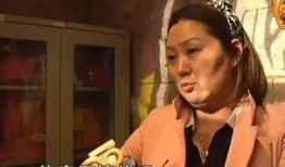 扬州甲方乙方在线观看,一场别开生面的网络盛宴