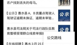 公众号爆料视频怎么做,深度解析幕后真相